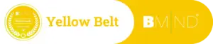 yellowbelt-ademcoach-opleiding